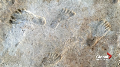 Empreintes vieilles de 23 000 ans. Empreintes vieilles de 23 000 ans.