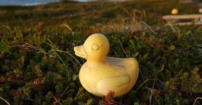 Les aventures d’un canard en plastique