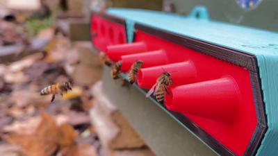Des abeilles entrent dans leur ruche par une entrée ProtectaBEE. (Photo via la page Facebook de ProtectaBEE)