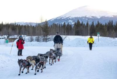 Un attelage de chiens de traîneau passe un point de contrôle lors de la course Yukon Quest. (Photo : Alexander Pai, via Instagram) Un attelage de chiens de traîneau passe un point de contrôle lors de la course Yukon Quest. (Photo : Alexander Pai, via Instagram)