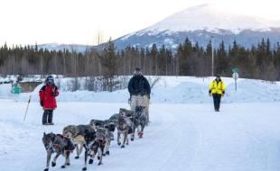 Un attelage de chiens de traîneau passe un point de contrôle lors de la course Yukon Quest. (Photo : Alexander Pai, via Instagram)