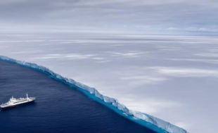 Un énorme iceberg se déplace dans l’océan Atlantique Sud. (Photo : Andrew Miller, North Stu-dios, via X.)